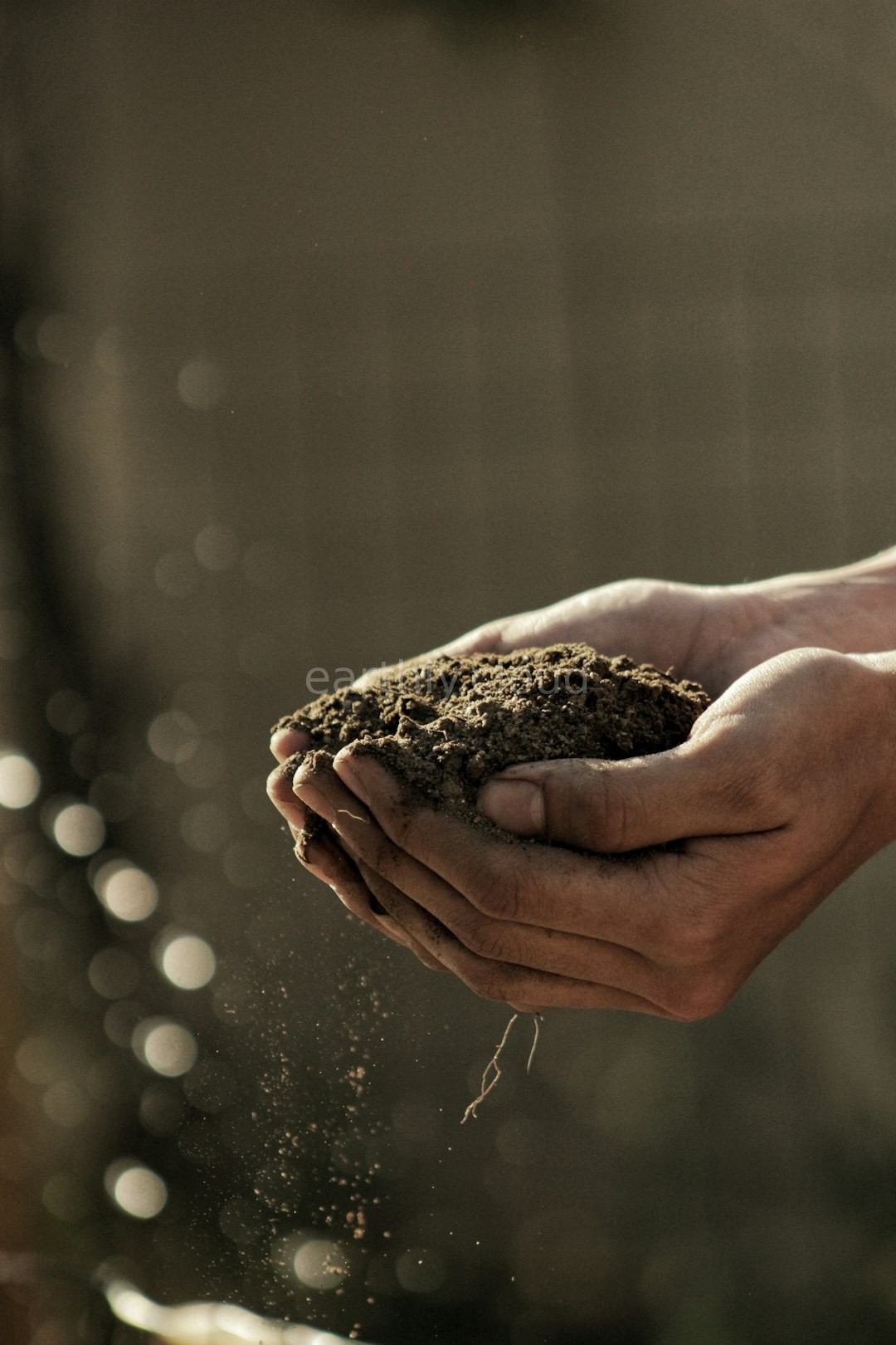 Garden Soil