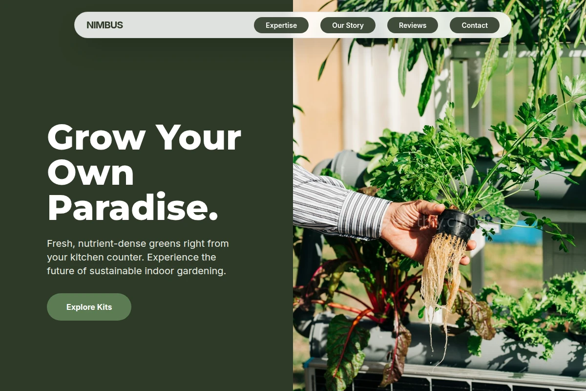 Nimbus Hydroponics