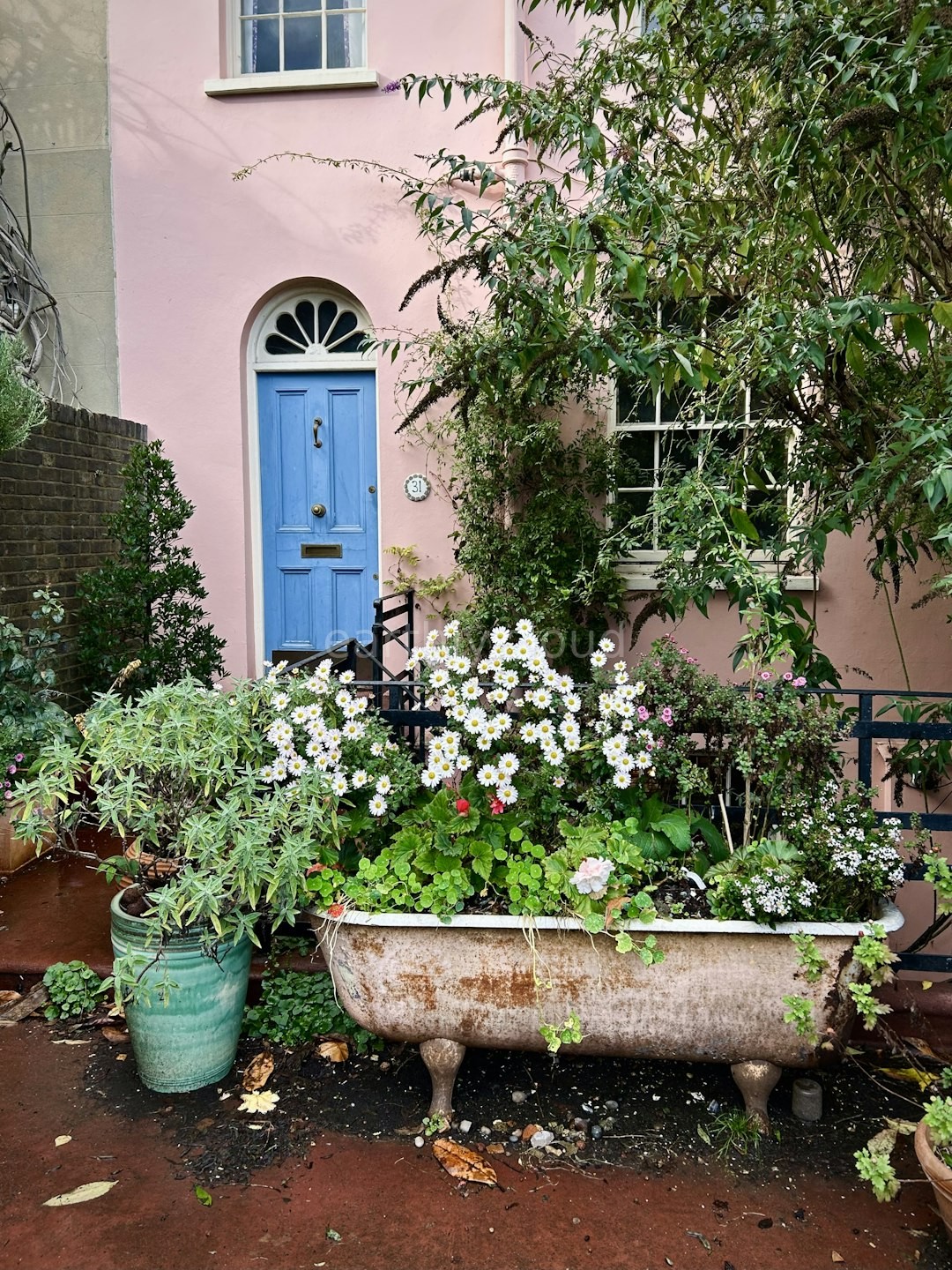 Garden Reel