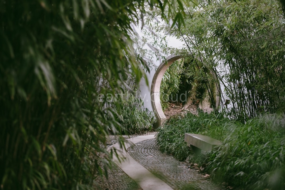 Garden Reel 4