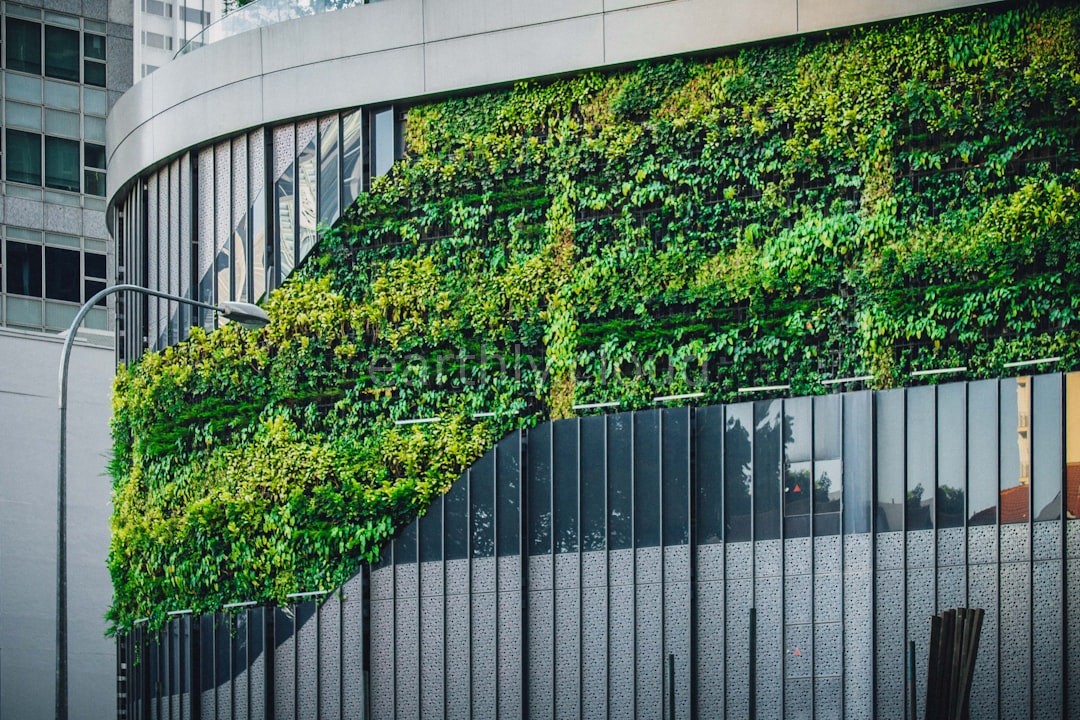 Eco-Renovations