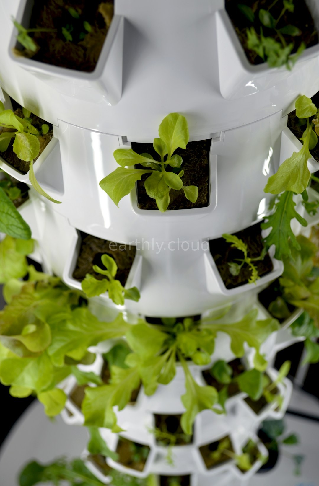 Vertical Farming